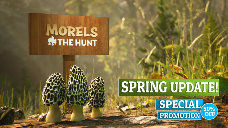 Morels Spring Update Header