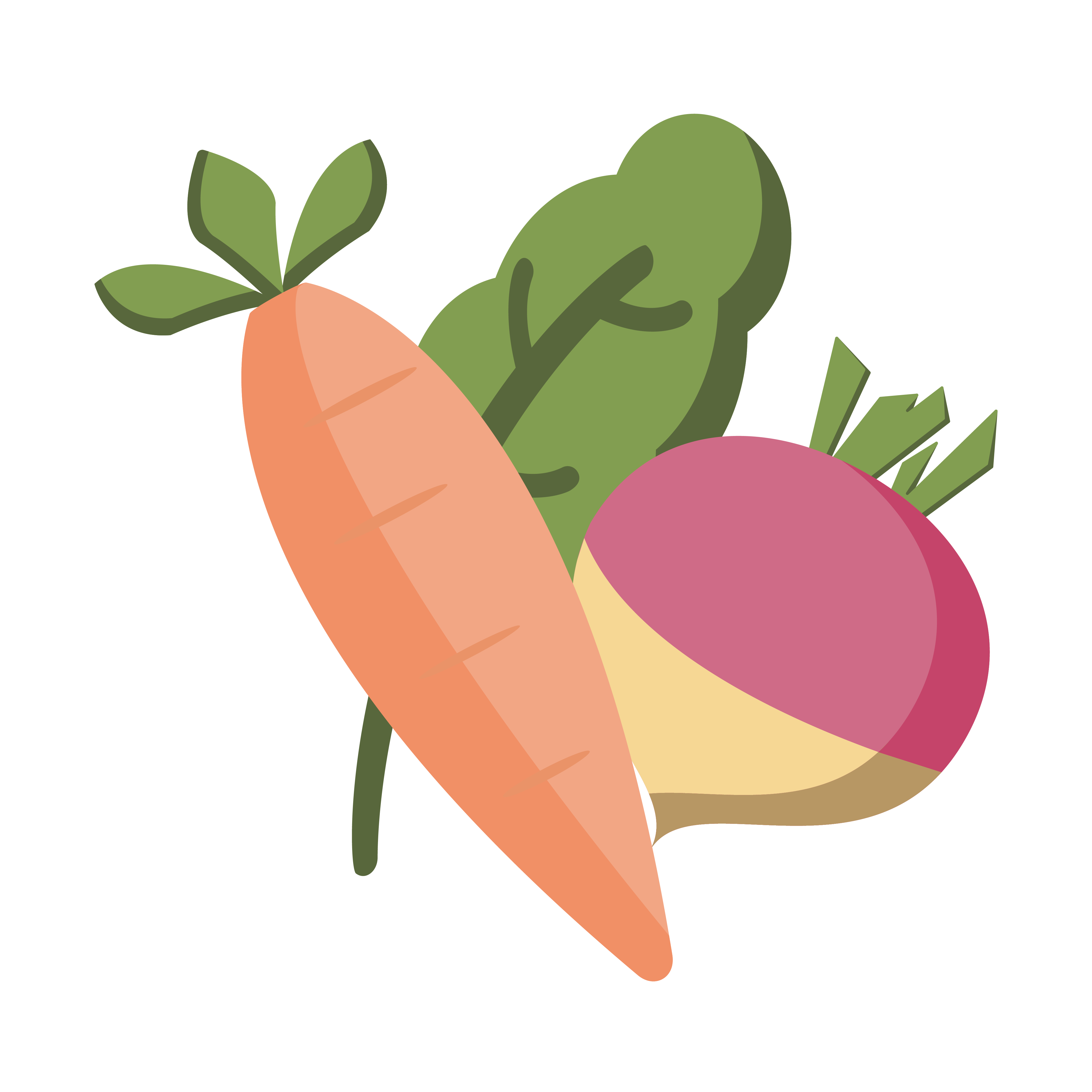 Vegetables 04