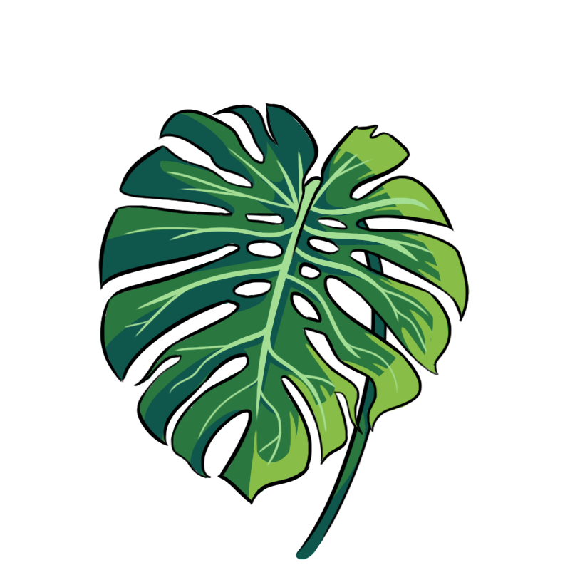 Monstera