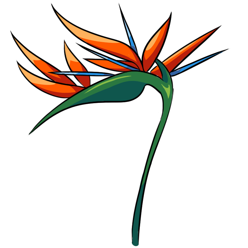 Strelitzia