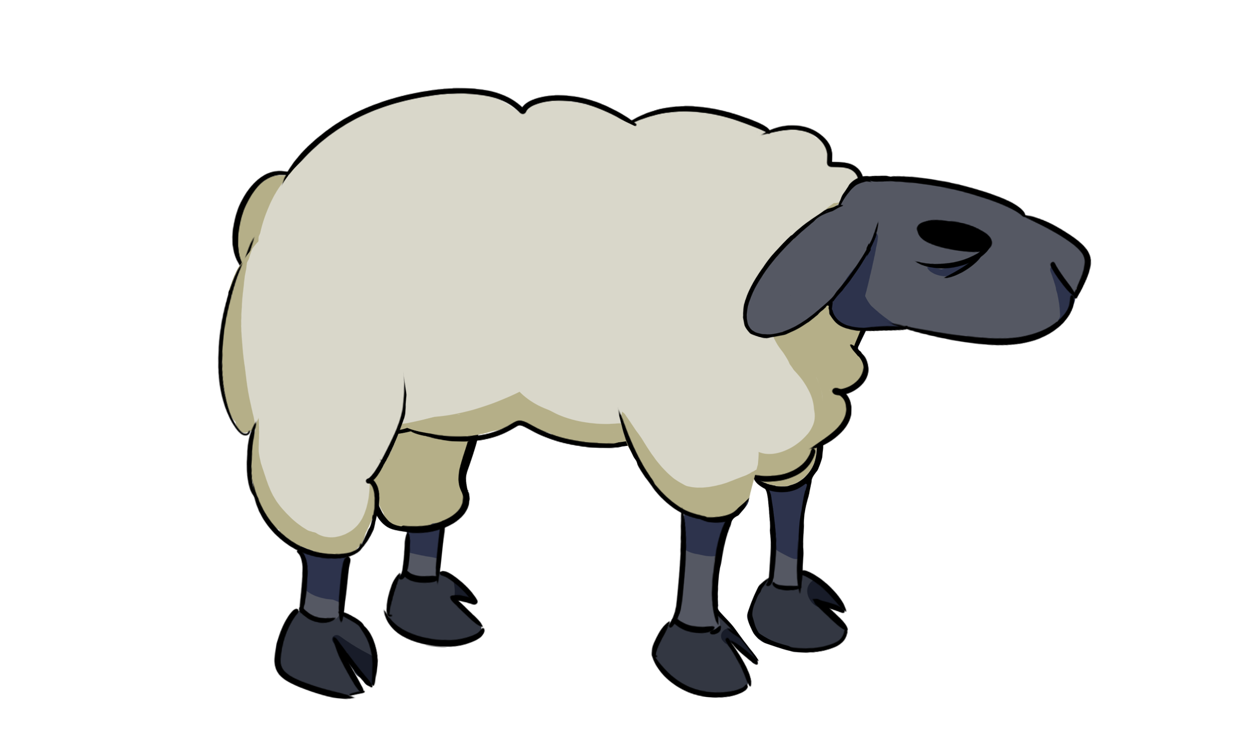 The sheep