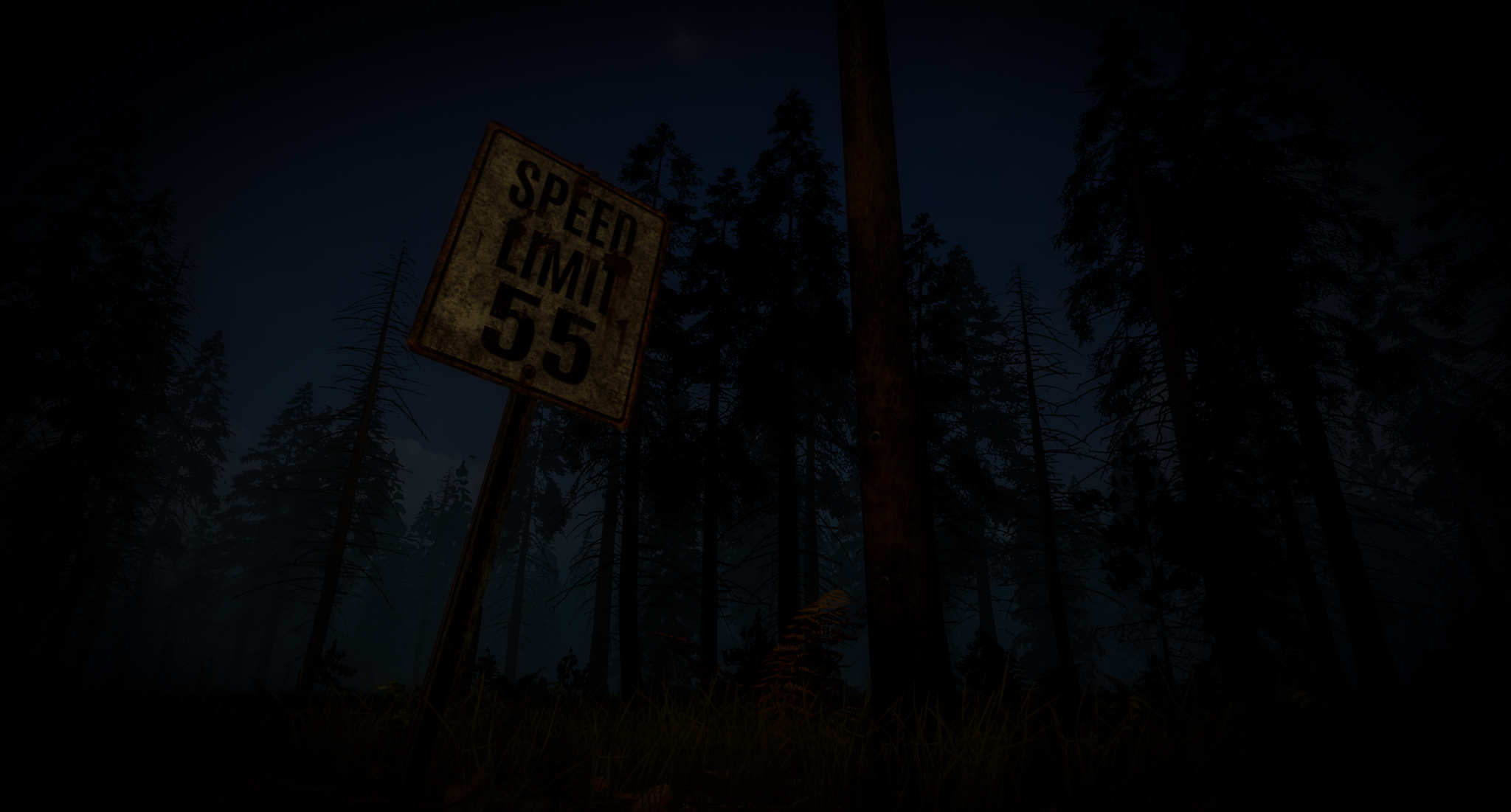 The first At Night Screenshot shows a 55mp/h speed limit sign