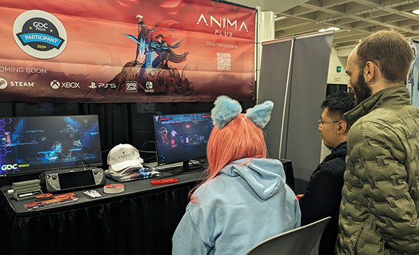 Co-Op Playing Anima Flux