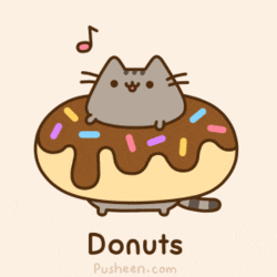 cat donut gif