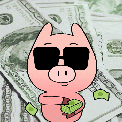 money pig