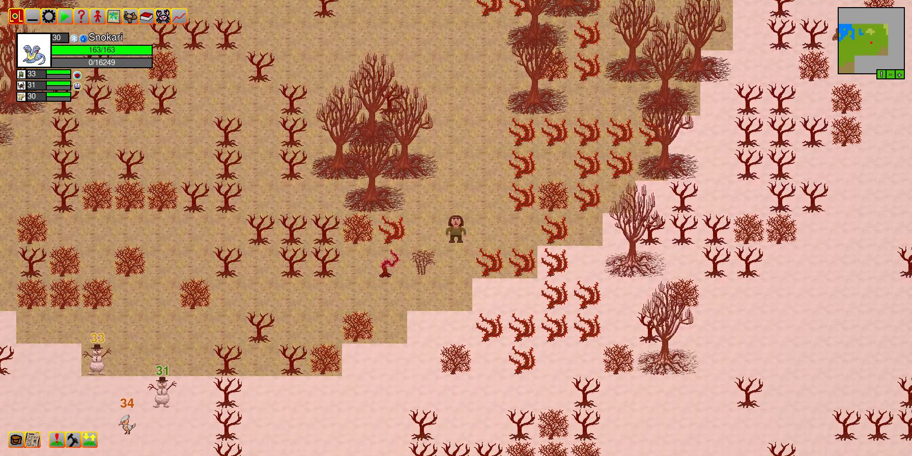 A thorn forest in winter