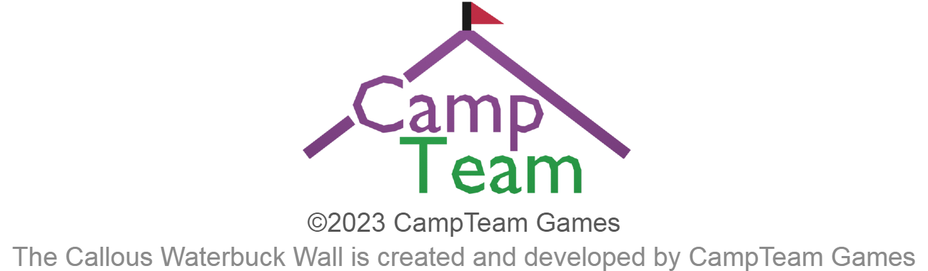 CampTeam Games 2
