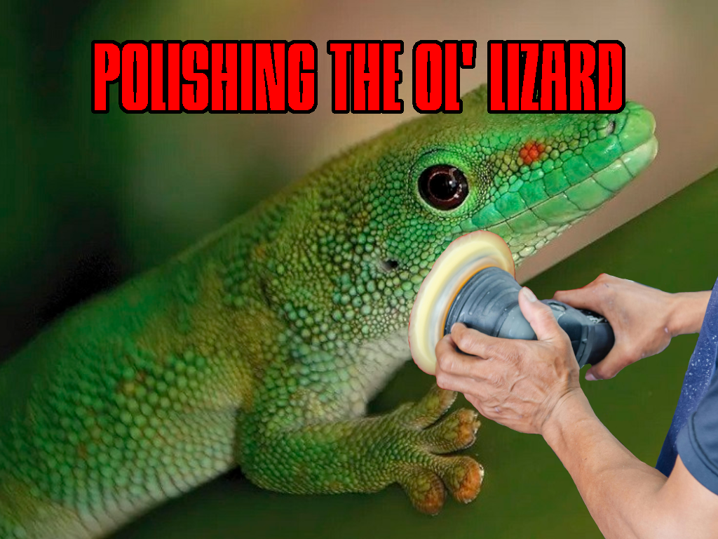 Lizard Polish